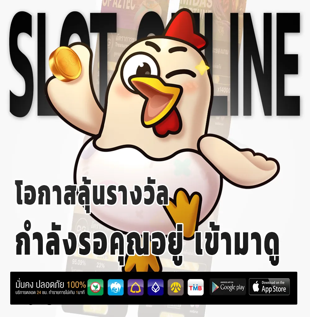 BABYSHARK 88 ครบวงจร